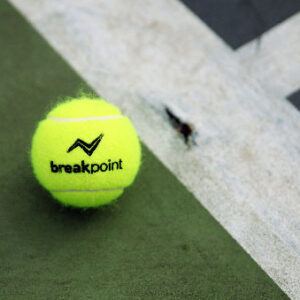 頂級網球練習球